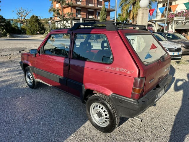 FIAT Panda 1ª serie 1000 4x4 Trekking ASI Immagine 3