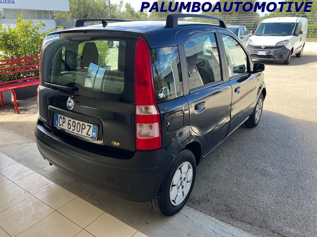 FIAT Panda 1.2 Dynamic Immagine 3