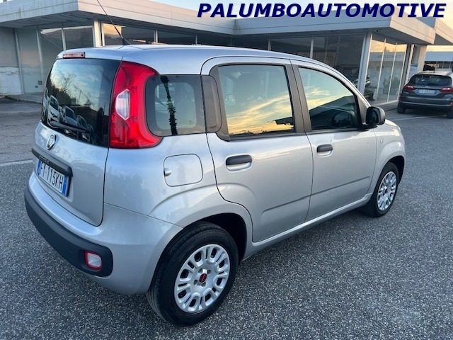 FIAT Panda 1.2 Easy Immagine 4