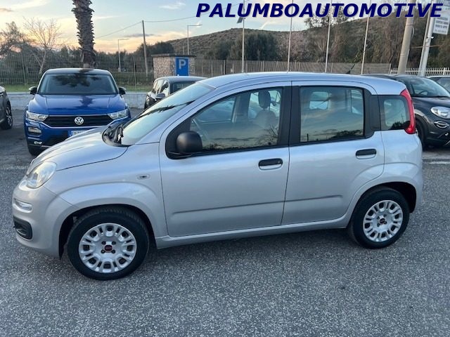 FIAT Panda 1.2 Easy Immagine 2