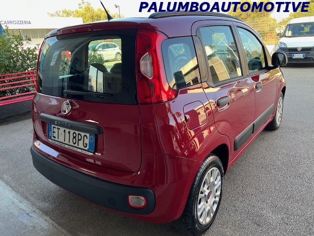 FIAT Panda 1.2 Easy Immagine 2