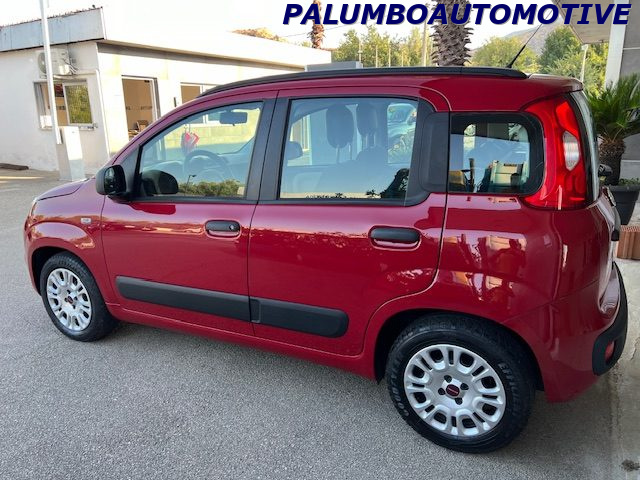 FIAT Panda 1.2 Easy Immagine 3