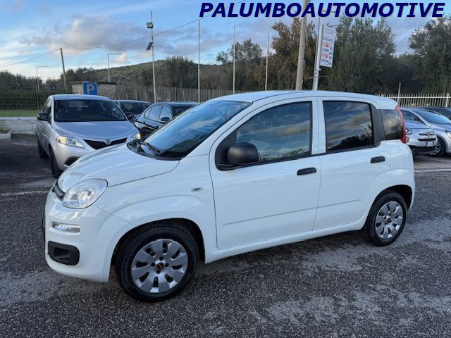 FIAT Panda 1.2 Easy Immagine 2