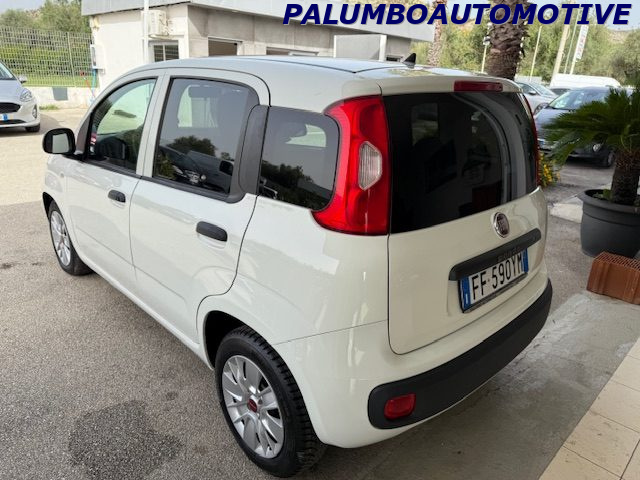 FIAT Panda 1.3 MJT 80 CV S&S Easy Immagine 3