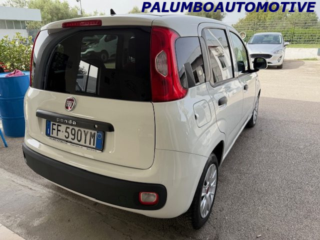 FIAT Panda 1.3 MJT 80 CV S&S Easy Immagine 4