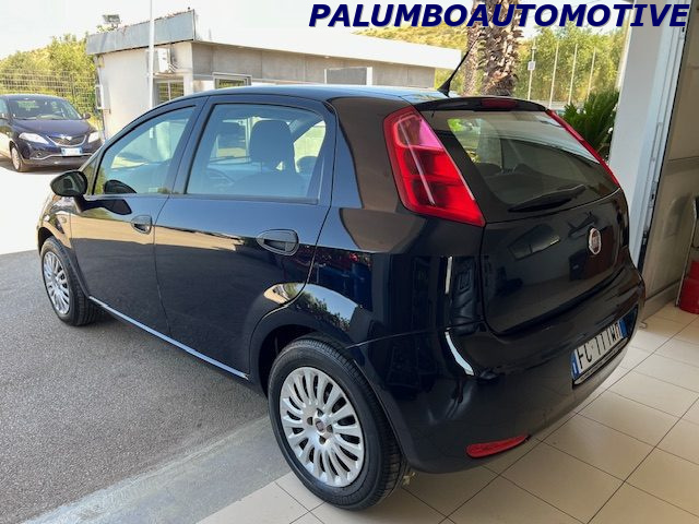 FIAT Punto 1.2 8V 5 porte Street Immagine 3