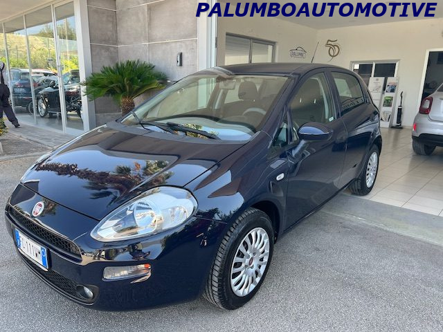 FIAT Punto 1.2 8V 5 porte Street Immagine 2