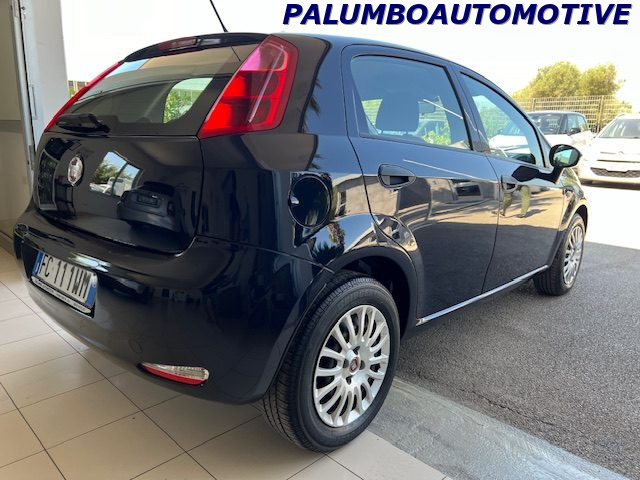 FIAT Punto 1.2 8V 5 porte Street Immagine 4