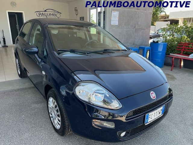 FIAT Punto 1.2 8V 5 porte Street Immagine 1