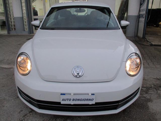 VOLKSWAGEN Maggiolino 1.6 TDI Design Immagine 1