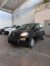 FIAT Panda New Panda 1.0 FireFly S&S Hybrid