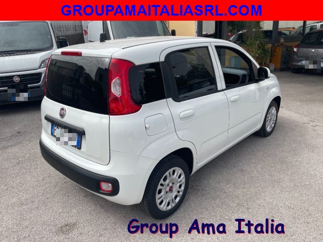 FIAT Panda 1.2 EasyPower Easy Ok Neopatentati Km Certificati Immagine 2