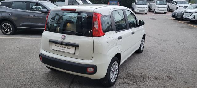 FIAT Panda 1.2 EasyPower Easy Immagine 2