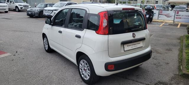 FIAT Panda 1.2 EasyPower Easy Immagine 3