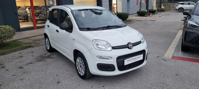 FIAT Panda 1.2 EasyPower Easy Immagine 0