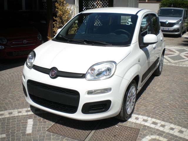 FIAT Panda 1.0 FireFly S&S Hybrid Immagine 2