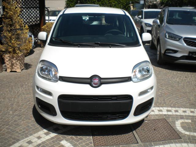 FIAT Panda 1.0 FireFly S&S Hybrid Immagine 1