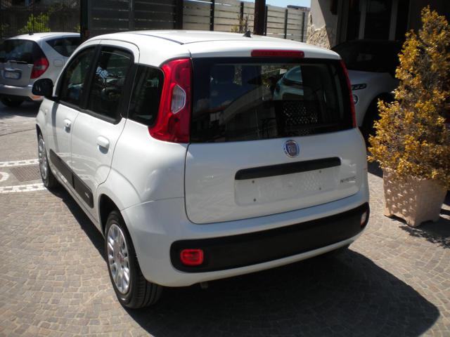 FIAT Panda 1.0 FireFly S&S Hybrid Immagine 3