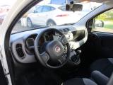 FIAT Panda 1.0 FireFly S&S Hybrid 5 Posti - 12.000km