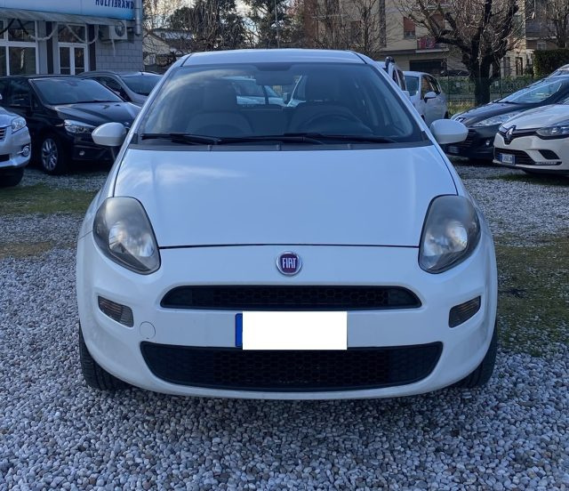 FIAT Punto 1.4 8V 5 porte Natural Power Pop Immagine 0