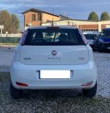 FIAT Punto 1.4 8V 5 porte Natural Power Pop