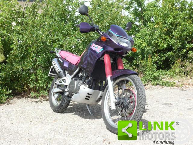 KAWASAKI KLE 500 Viola Fucsia Immagine 2