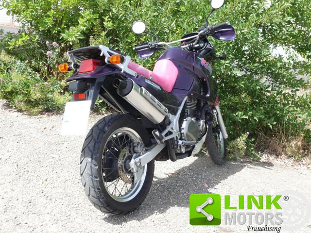 KAWASAKI KLE 500 Viola Fucsia Immagine 3