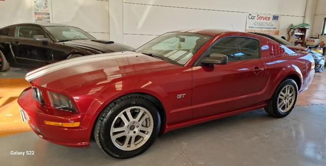 FORD Mustang 4.6 v8 GT coupè Immagine 1