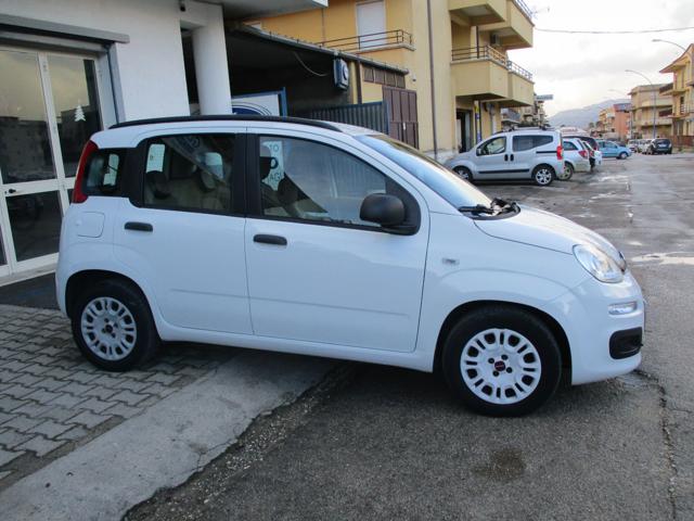 FIAT Panda 1.2 69cv EasyPower Easy benz/gpl Immagine 1