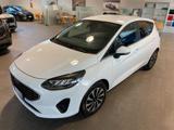 FORD Fiesta 1.0 Ecoboost Hybrid 125 CV 5 porte Titanium