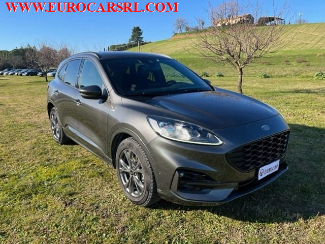 FORD Kuga 2.0 EcoBlue Hybrid 150 CV 2WD ST-Line Immagine 0