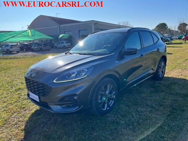 FORD Kuga 2.0 EcoBlue Hybrid 150 CV 2WD ST-Line Immagine 2