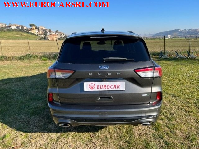 FORD Kuga 2.0 EcoBlue Hybrid 150 CV 2WD ST-Line Immagine 4