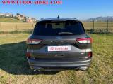 FORD Kuga 2.0 EcoBlue Hybrid 150 CV 2WD ST-Line