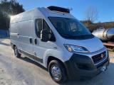FIAT DUCATO 2.3 MULTIJET ISOTERMICO  ANNO 2016 KM 20183