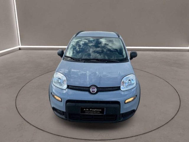 FIAT Panda 3ª serie -  1.0 FireFly S&S Hybrid City Life Immagine 1