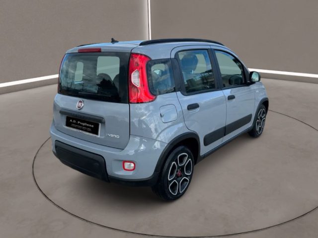 FIAT Panda 3ª serie -  1.0 FireFly S&S Hybrid City Life Immagine 3