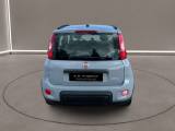 FIAT Panda 3ª serie -  1.0 FireFly S&S Hybrid City Life