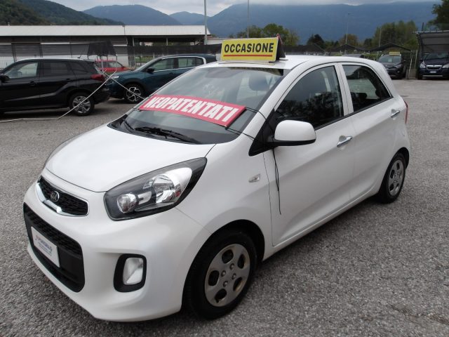 KIA Picanto 1.0 12V 5 porte Cool NEOPATENTATI Immagine 1