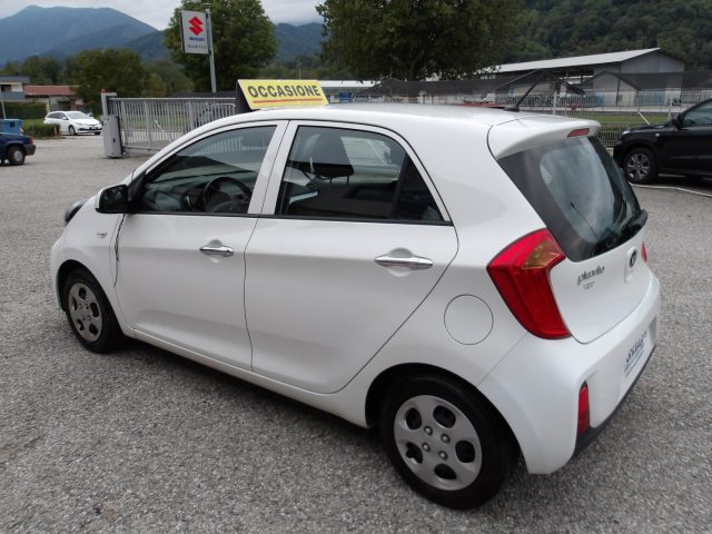 KIA Picanto 1.0 12V 5 porte Cool NEOPATENTATI Immagine 2