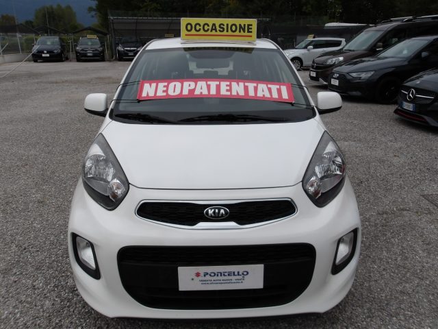 KIA Picanto 1.0 12V 5 porte Cool NEOPATENTATI Immagine 4