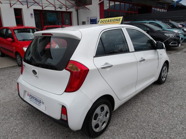 KIA Picanto 1.0 12V 5 porte Cool NEOPATENTATI Immagine 3