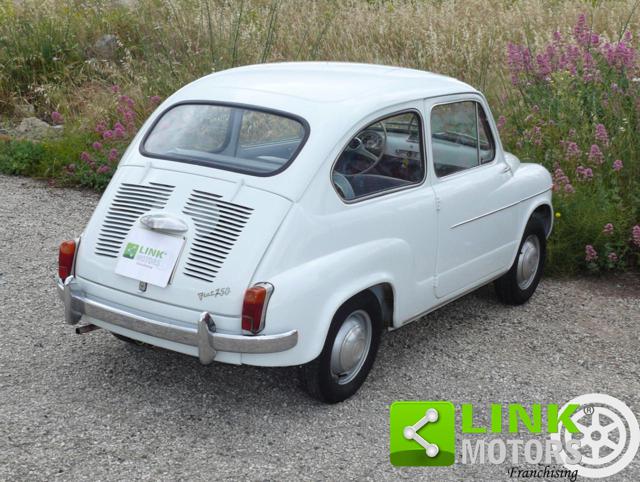 FIAT 600 Restauro Professionale Immagine 4