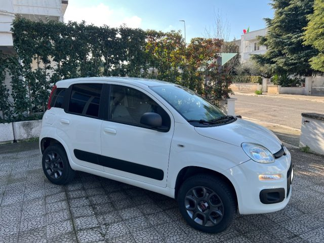 FIAT Panda 1.3 MJT 80 CV 4x4 Immagine 3