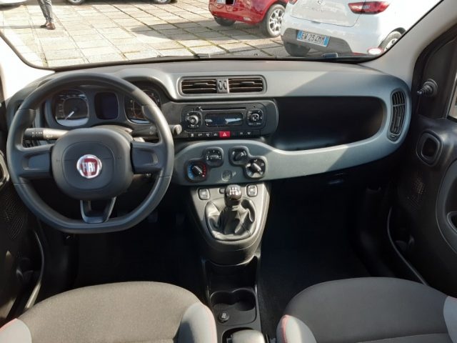 FIAT Panda 1.2 Pop Immagine 4