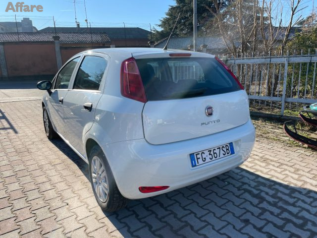 FIAT Punto 1.3 MJT II S&S 95 CV 5 porte Street Immagine 2