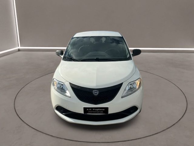 LANCIA Ypsilon 3ª serie -  1.2 69 CV 5 porte GPL Ecochic Ele Immagine 1