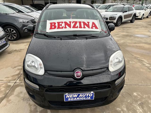 FIAT Panda 1.2 Easy Immagine 2