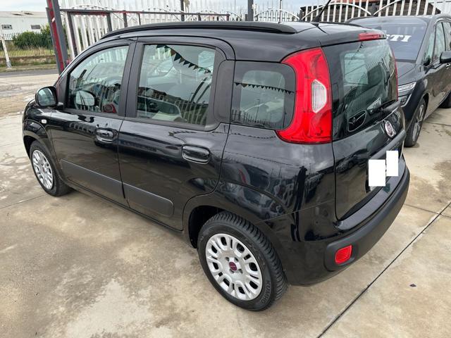 FIAT Panda 1.2 Easy Immagine 3