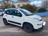 FIAT Panda 1.0 FireFly S&S Hybrid Sport